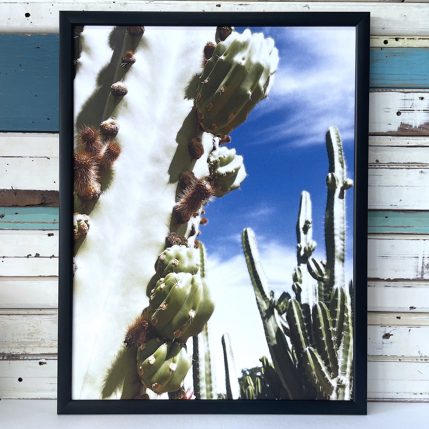 Cactus Babies art print