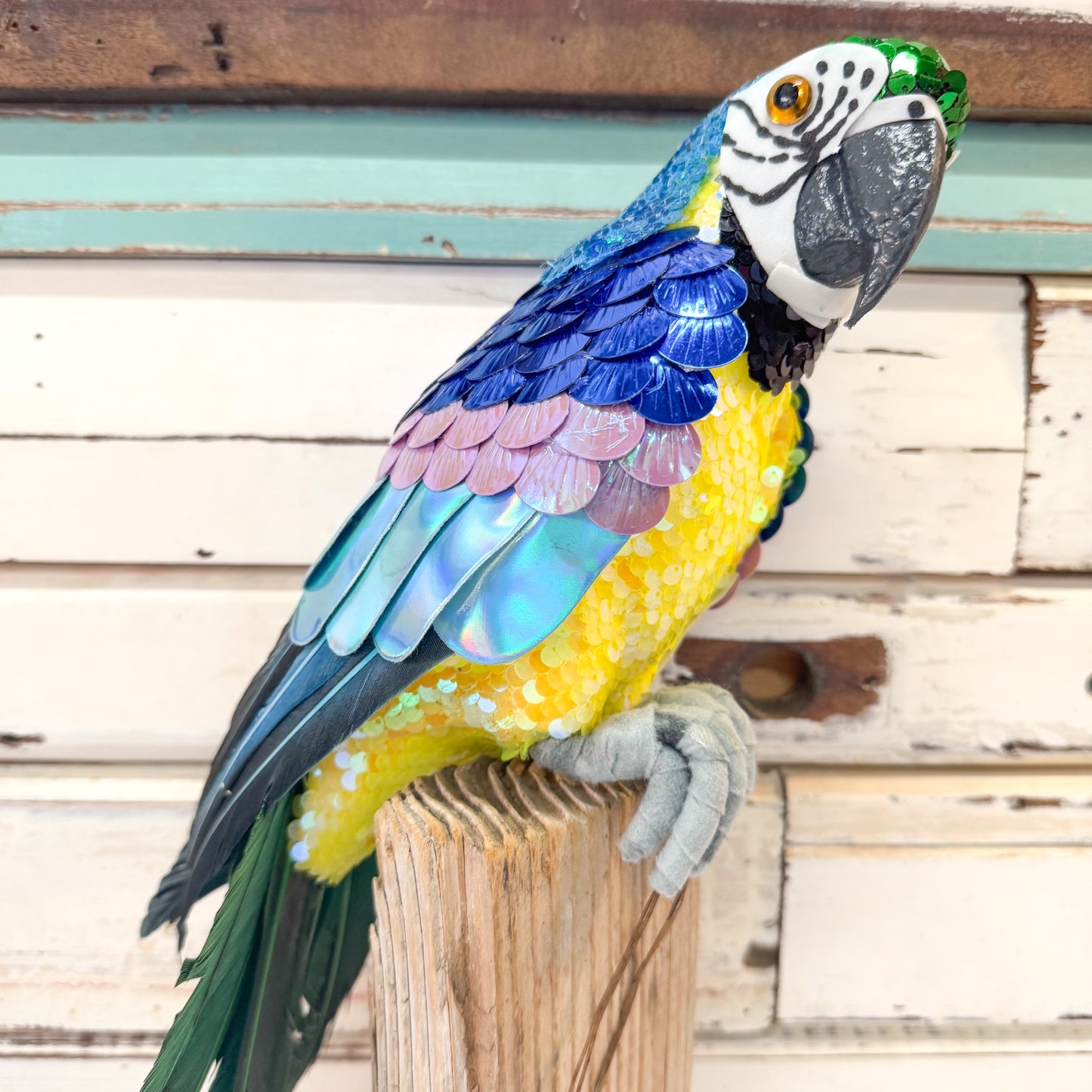 Colourful parrot perched - Christmas Decorations - Azure Yellow Belly Parrot