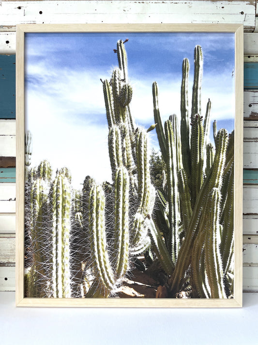 Desert Coast art print