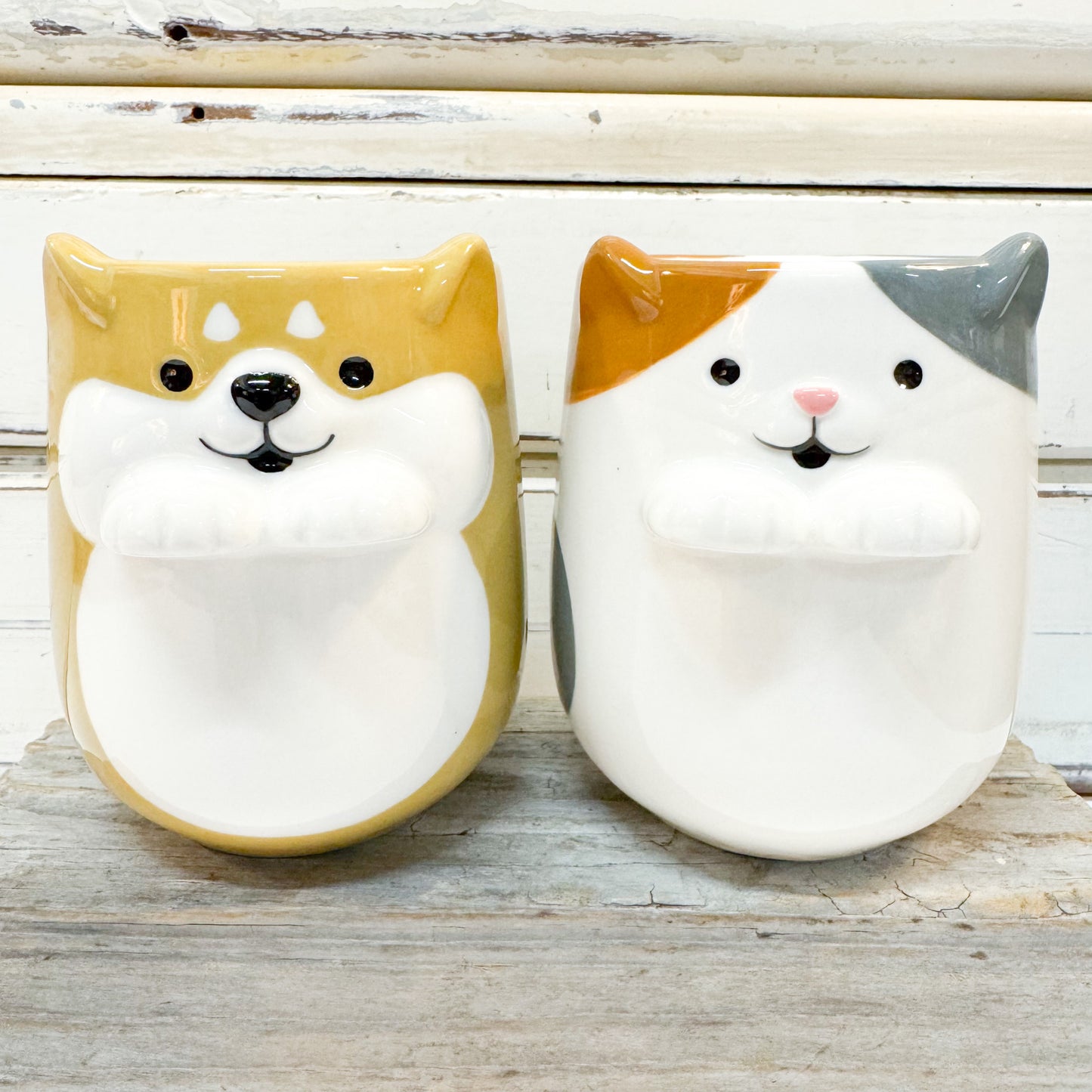 Shiba Dog Cup