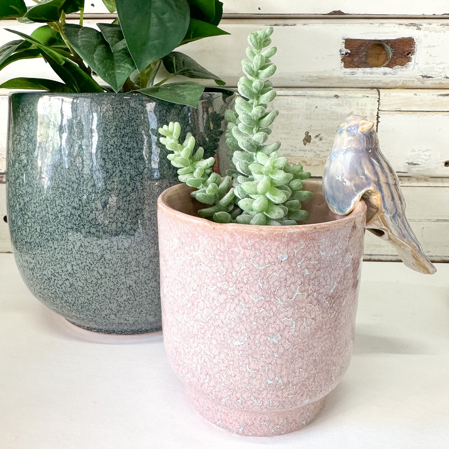 Birdy Planter