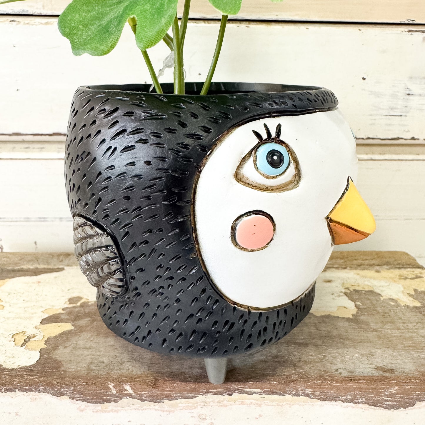 Baby Birdie Black Planter