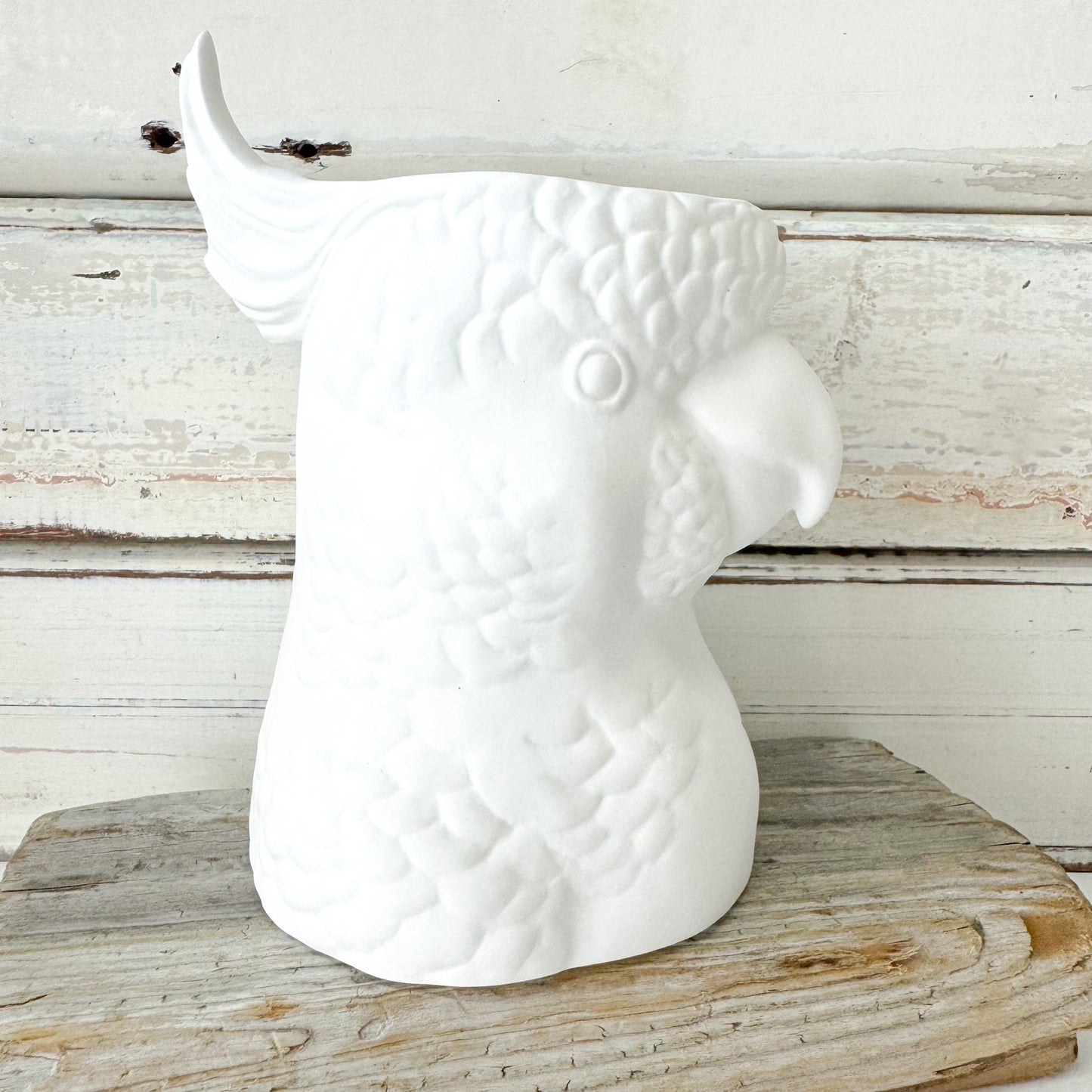 JONES AND CO FINE BONE CHINA COCKATOO VASE