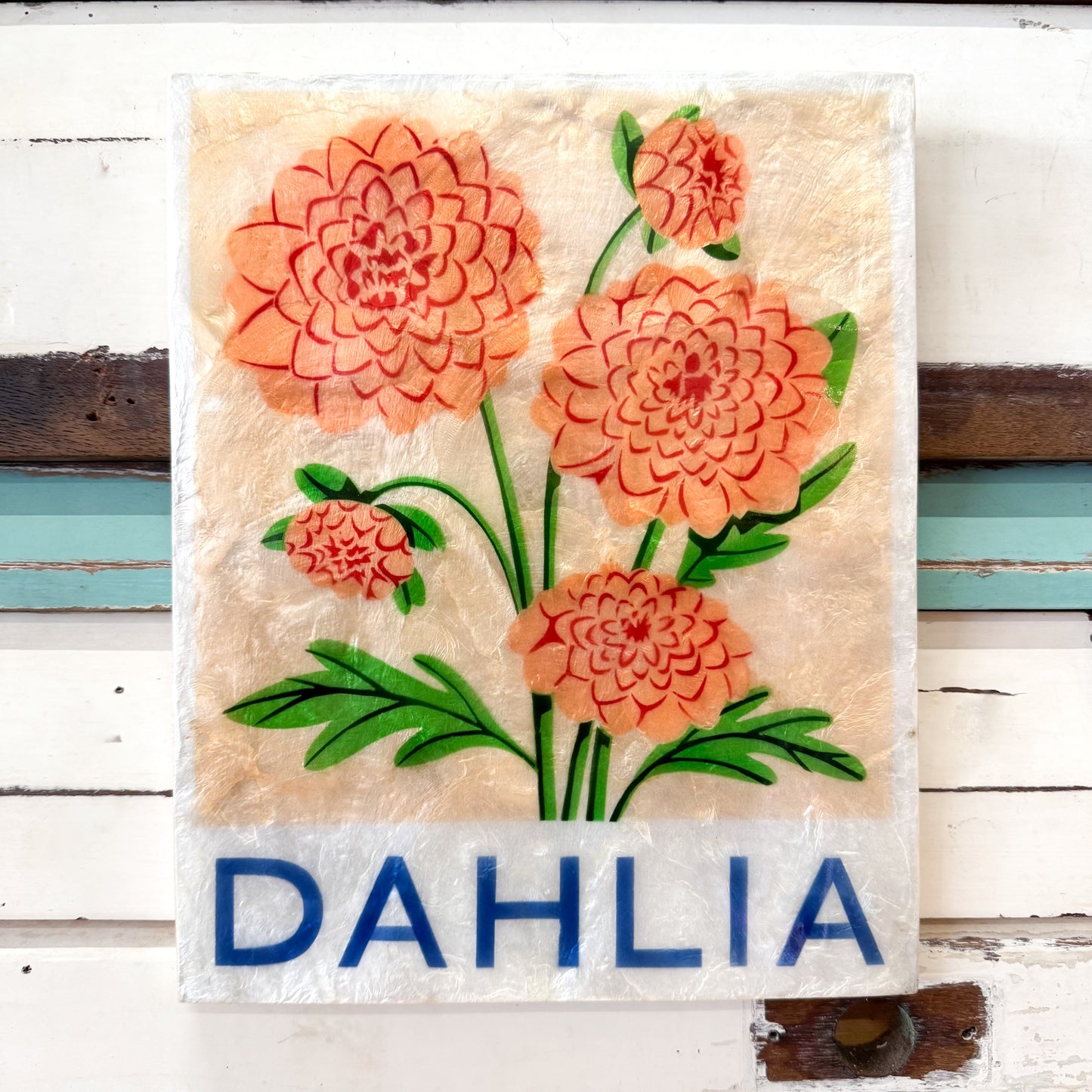 Jones & Co | Market Wall Art Dahlia
A square decorative plaque or sign featuring painted dahlia flowers on a textured cream background, with the word "DAHLIA" in blue letters at the bottom, displayed against a white wooden surface.