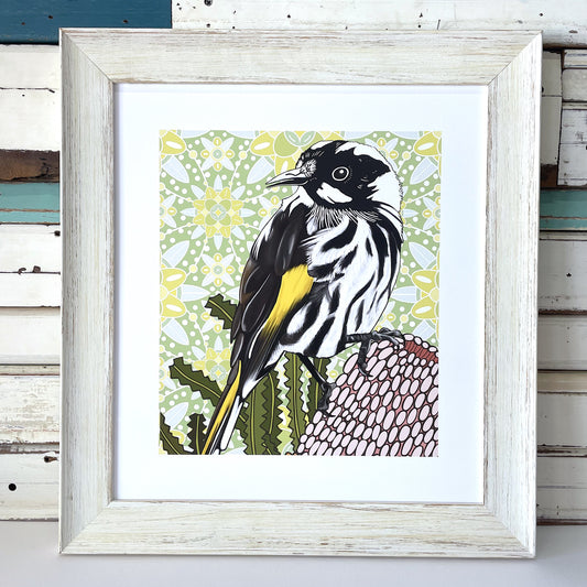 Meg's Honeyeater art print