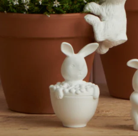 Bubble Bunny Box
