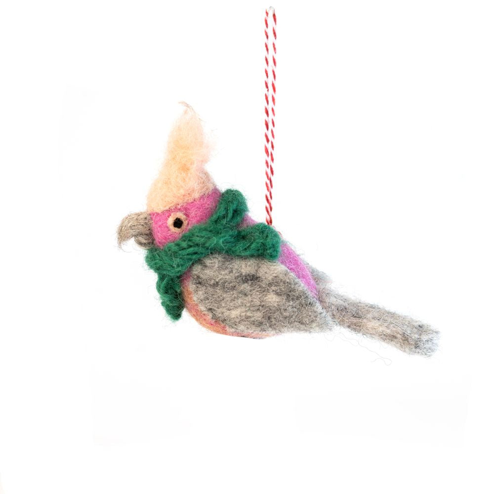 Pink Galah Gerry