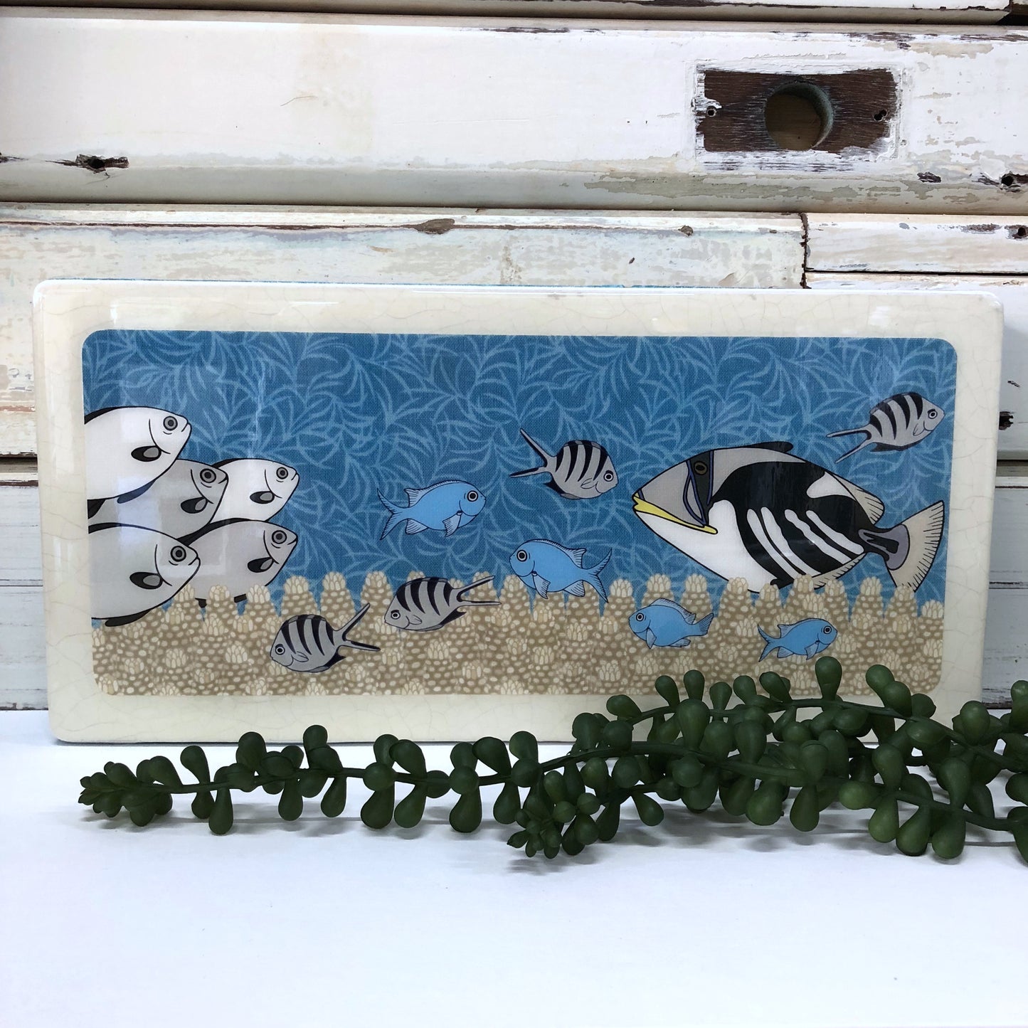 Pano Woodblock - Reef Life