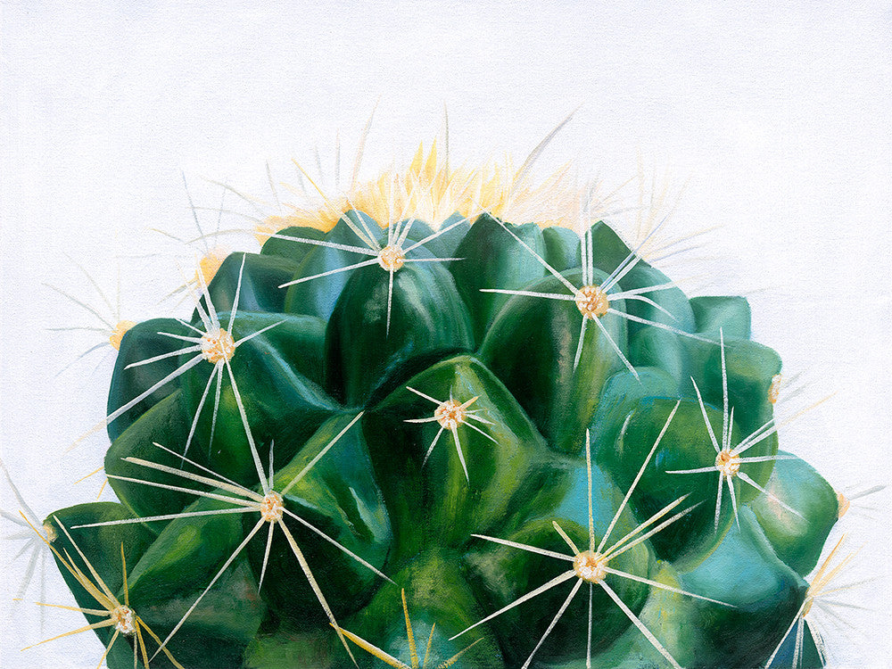 Cacti Canvas Print