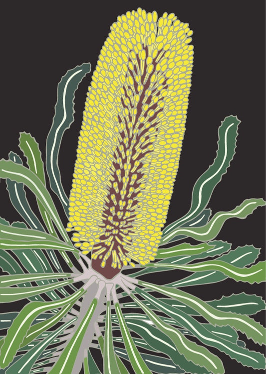 Charcoal Candlestick Banksia Art Print