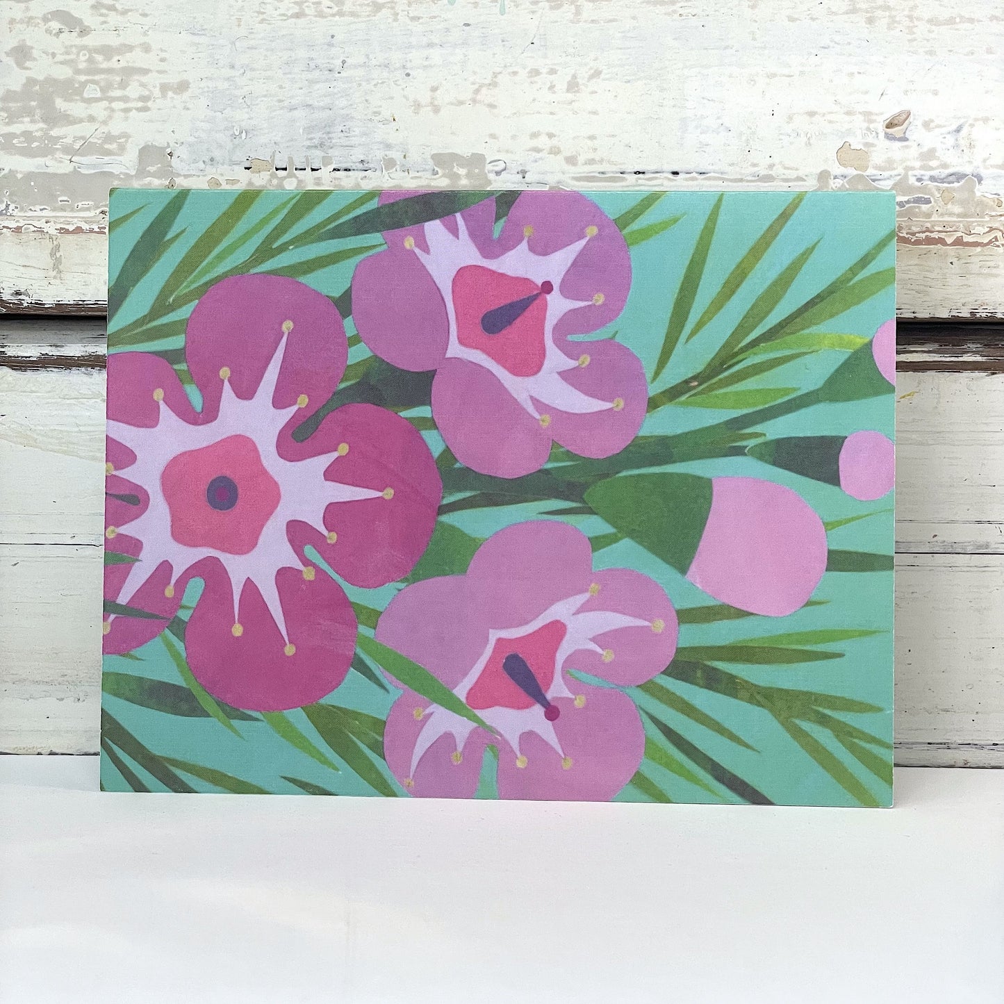 SAMMY JAY Geraldton Wax Card.