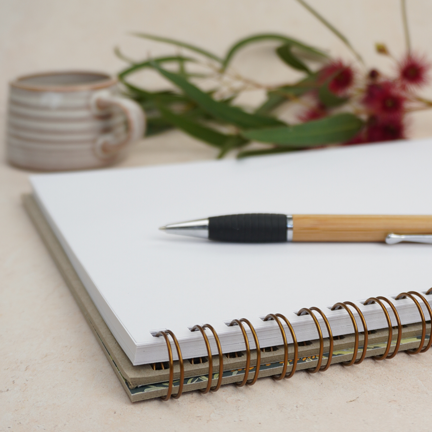 A4 Blank Journal - Koala Park