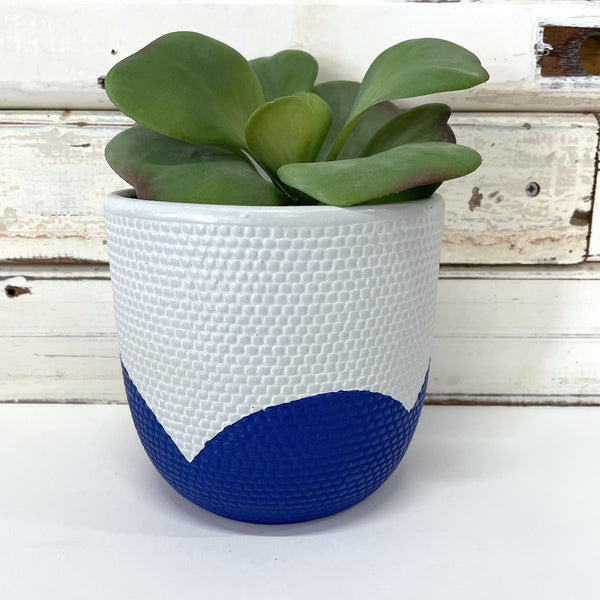 Petal Pot - Navy Flannel