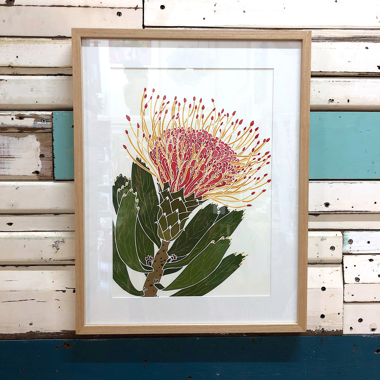 White Pin Cushion Protea - Framed Art Print