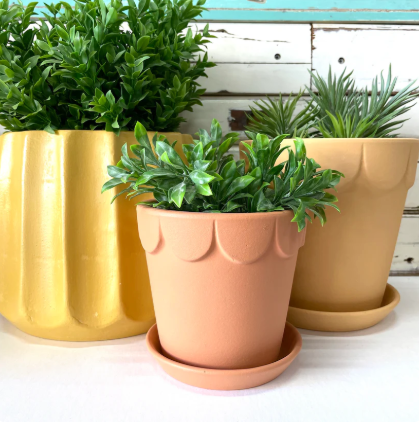 50-70% off STOCKTAKE SALE!