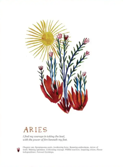 Colorful illustration of a plant with a sun above, labeled 'Aries', on a white background.