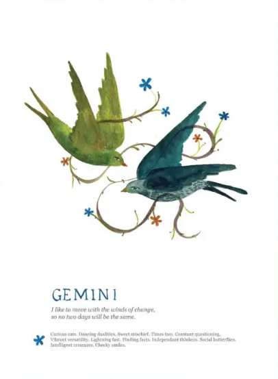 Two stylized birds with floral elements on a white background, labeled 'Gemini'.