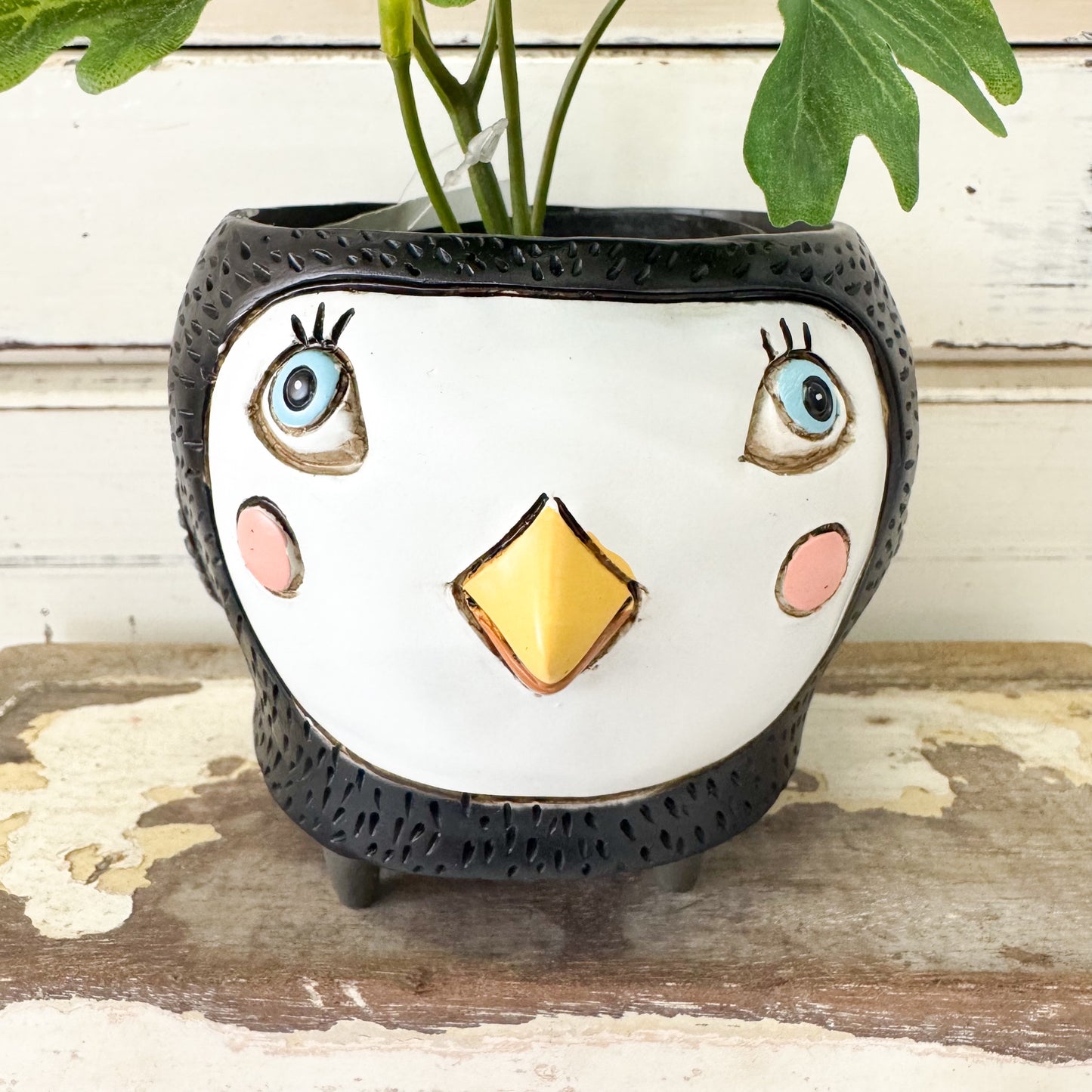 Ceramic planter shaped like a bird's face with a white face, blue eyes, and a yellow beak Allen Designs | Baby Birdie Black Planter