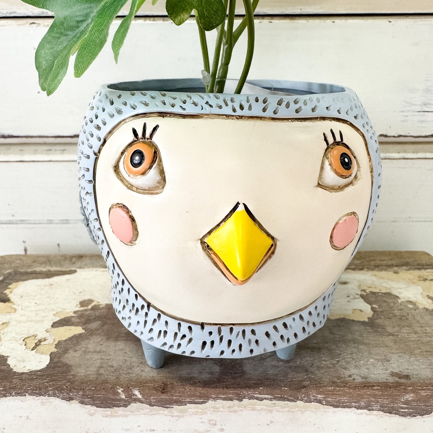 Ceramic planter with a bird face design - Allen Designs | Baby Birdie Blue Planter