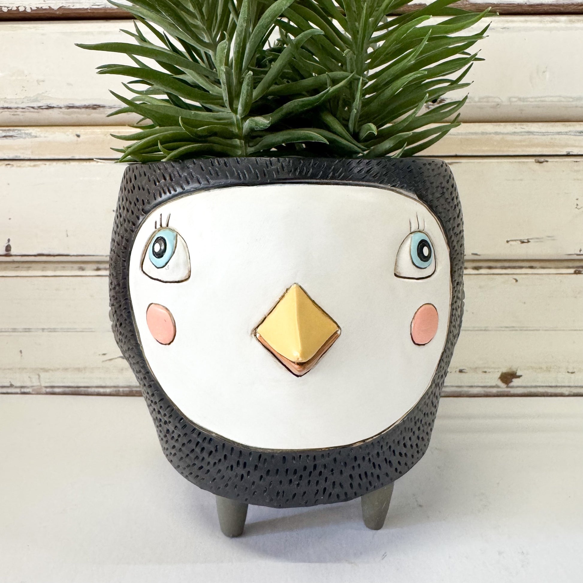 Ceramic bird planter Allen Designs | Birdie Black Planter