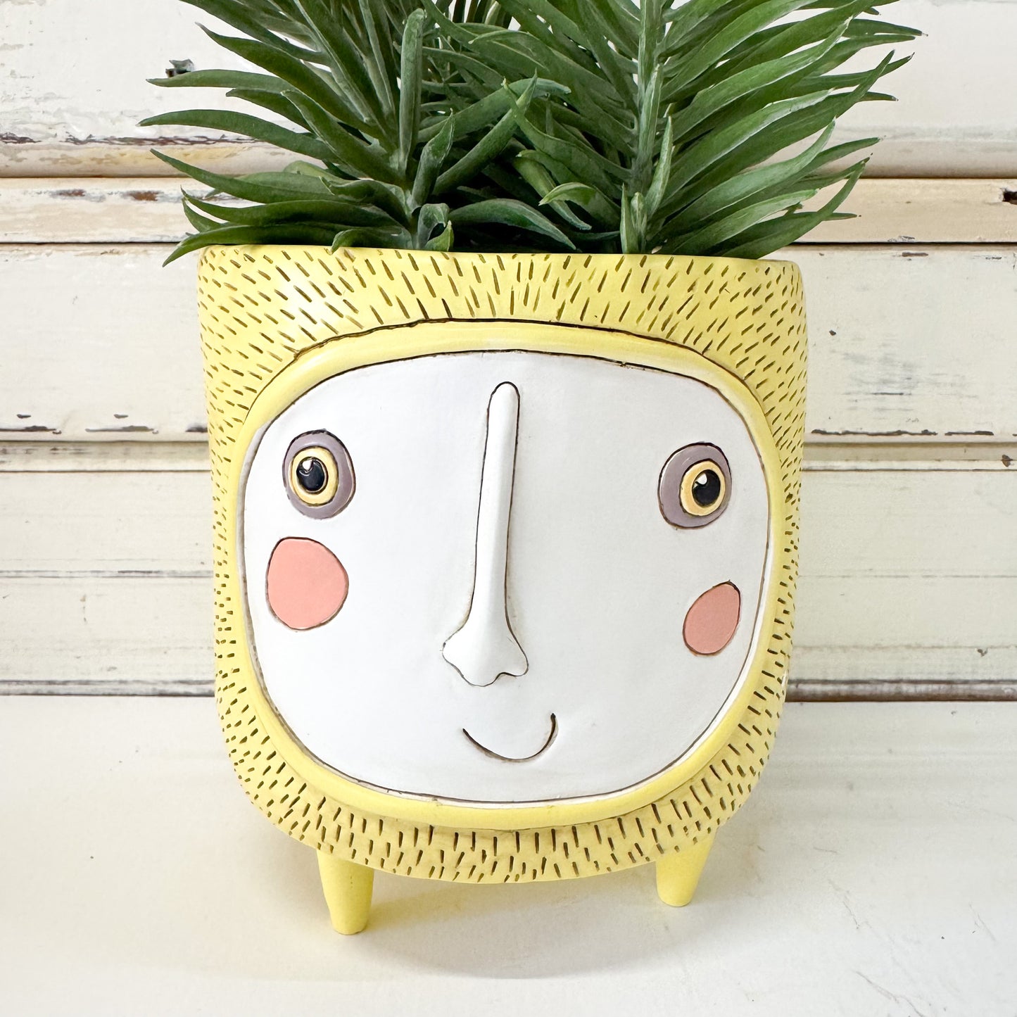 Yellow sun planter with a face design- Allen Designs | Sun Planter