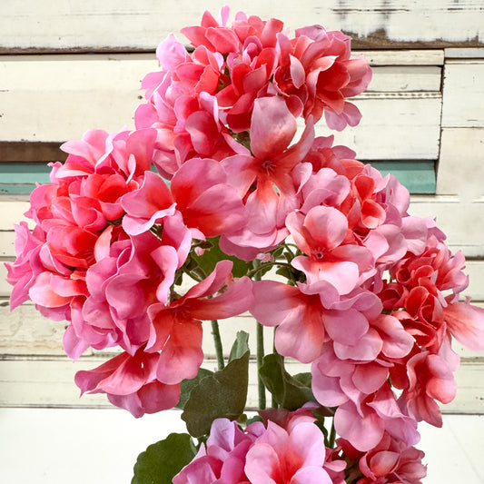 Pink flowers with green leaves against a wooden background