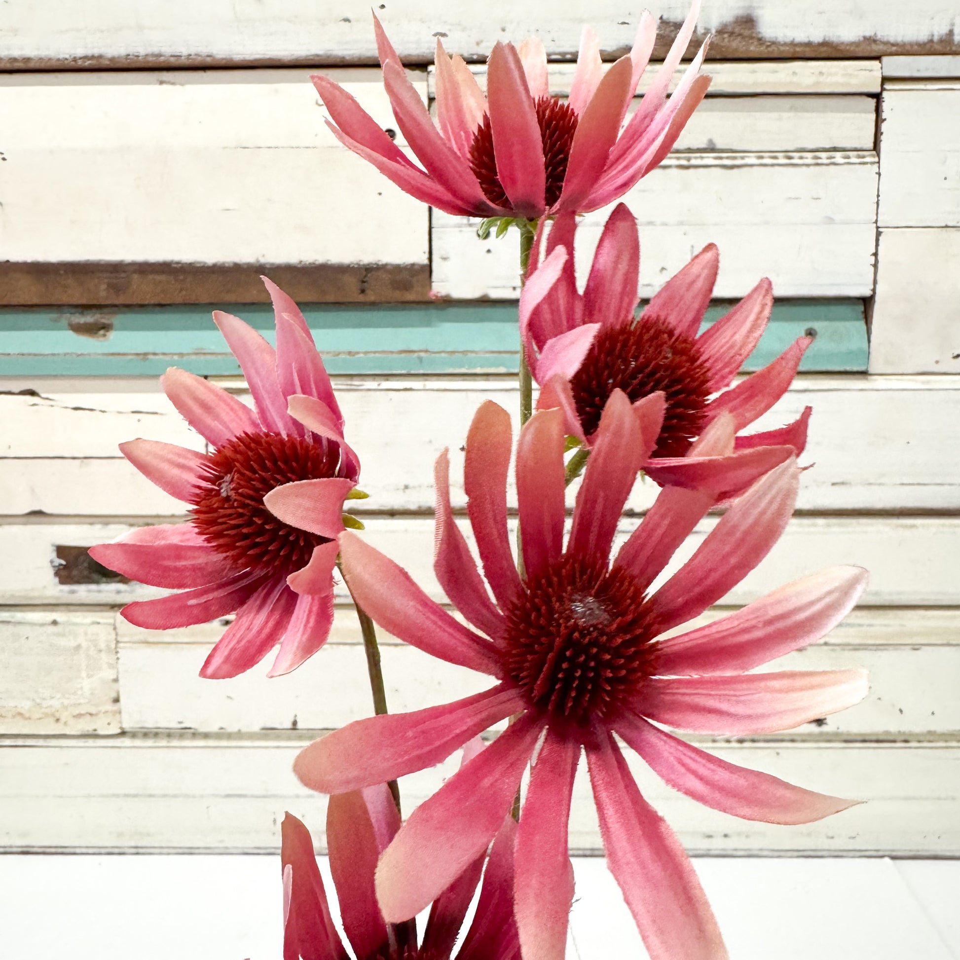 Pink flowers with a wooden background