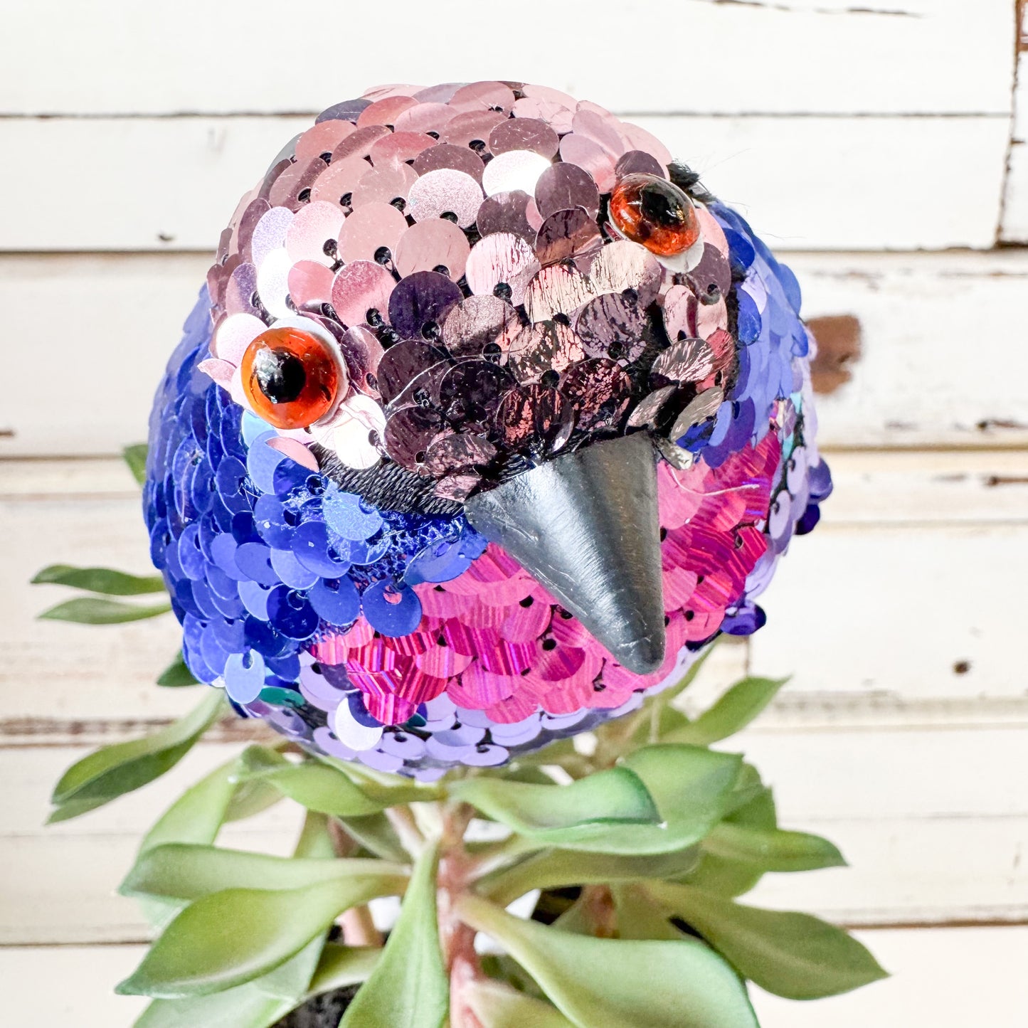 Colorful sequin parrot decoration on a plant against a wooden background