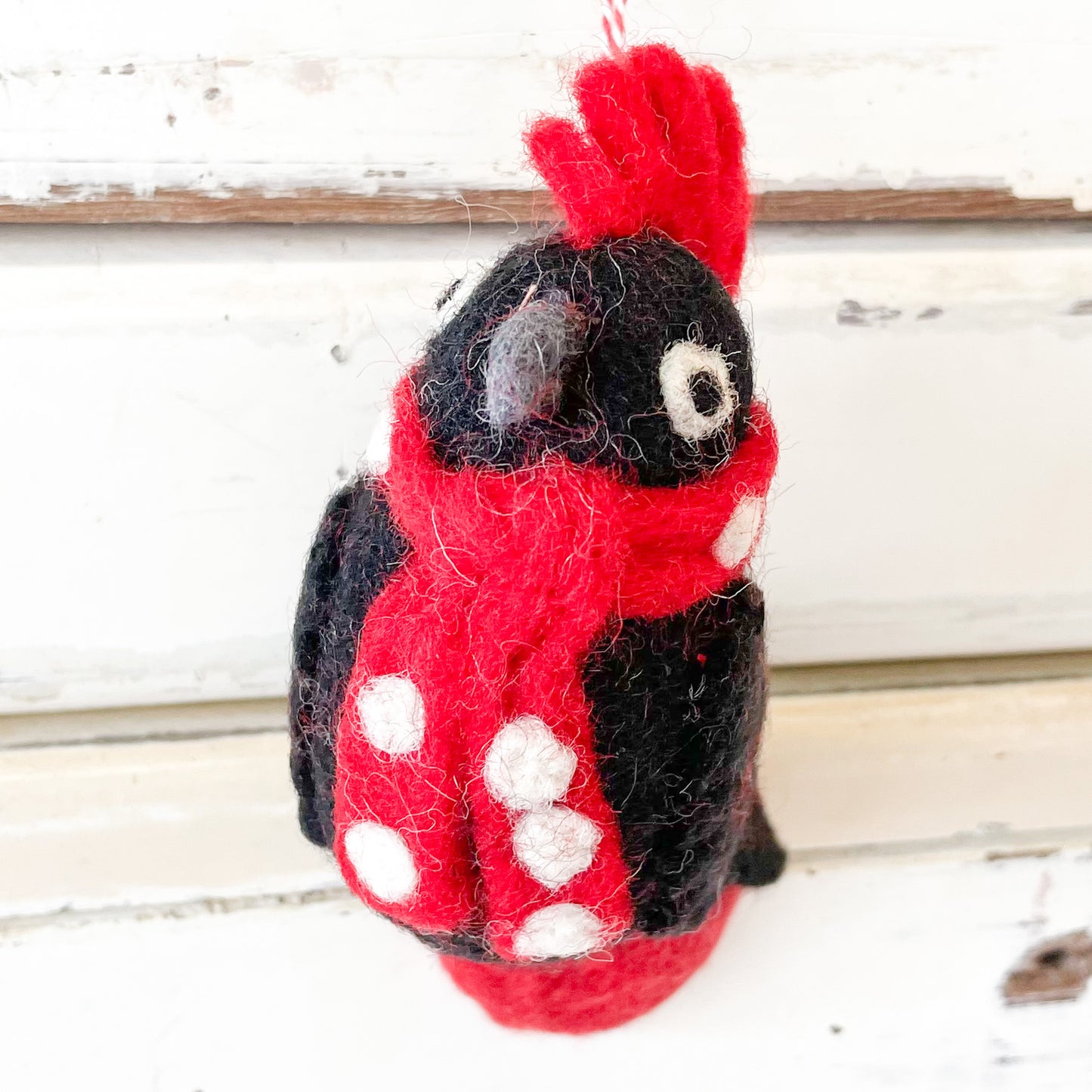 Black Cockatoo Carter