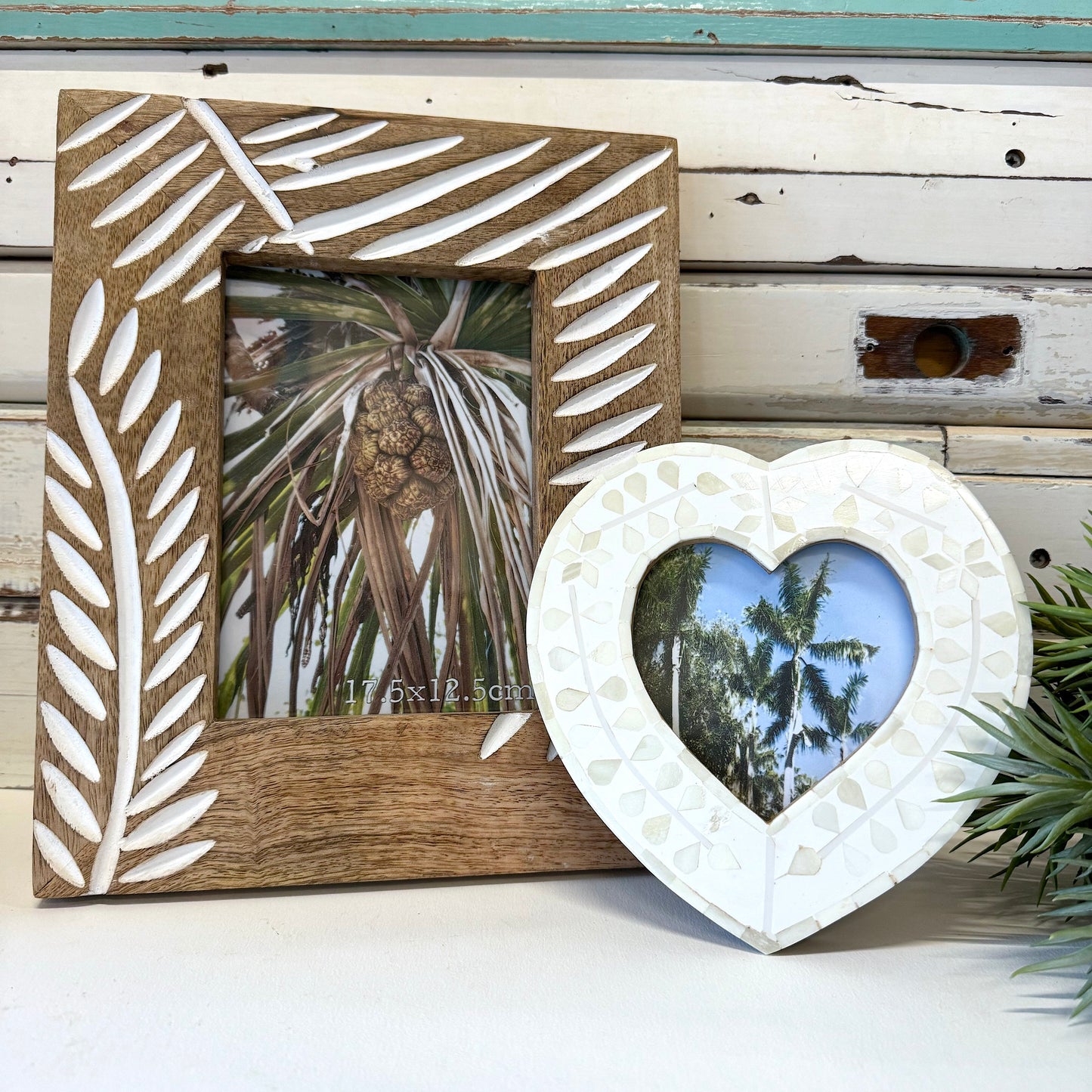 Palm Photoframe - Large