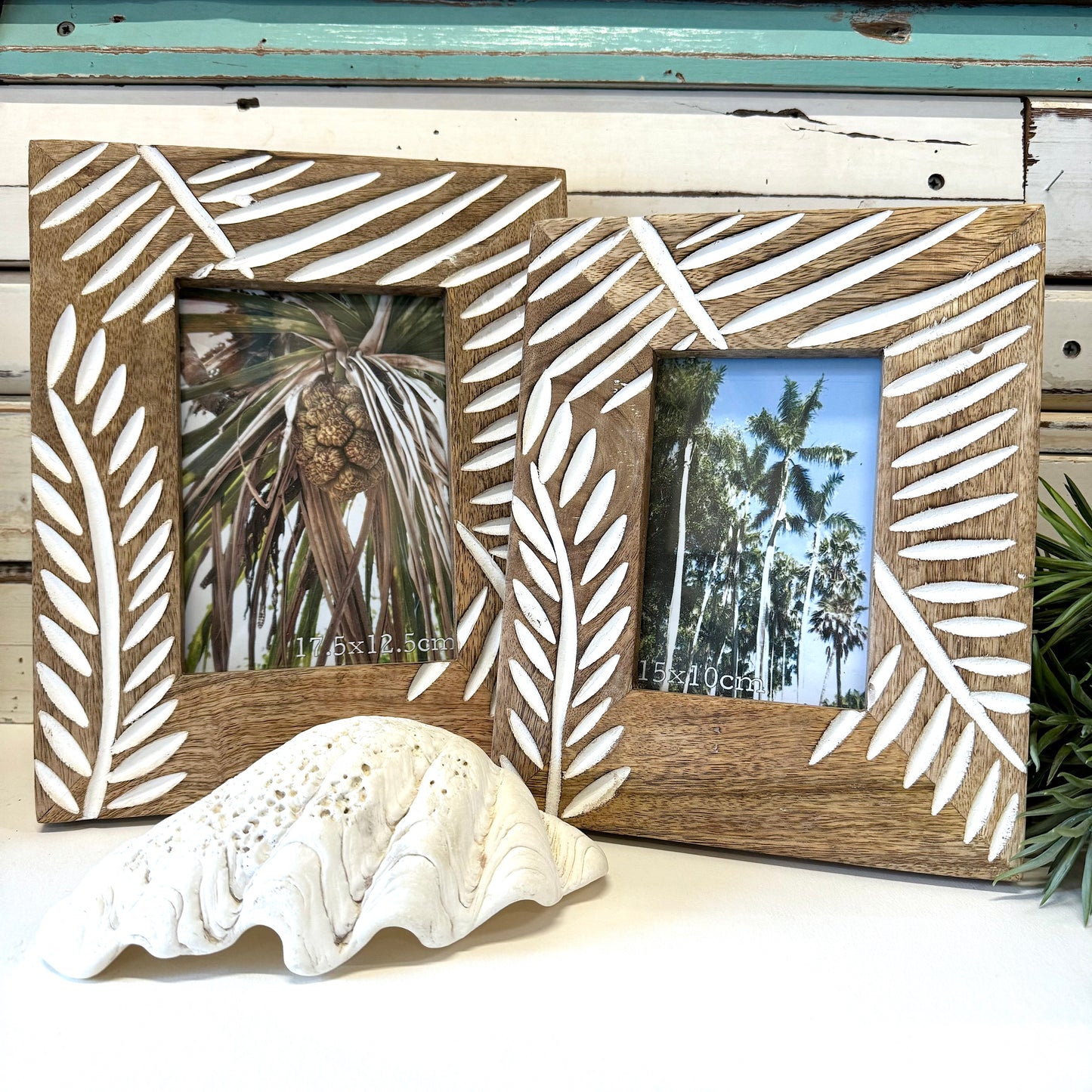 Palm Photoframe - Large