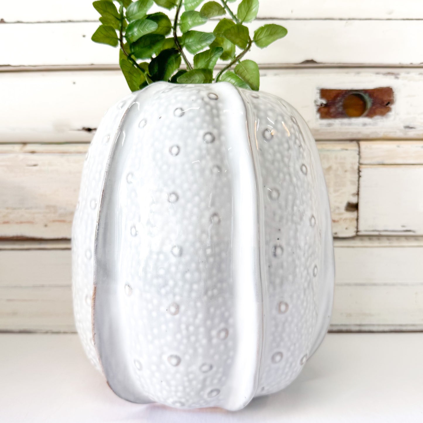 Urchin Vase - Small