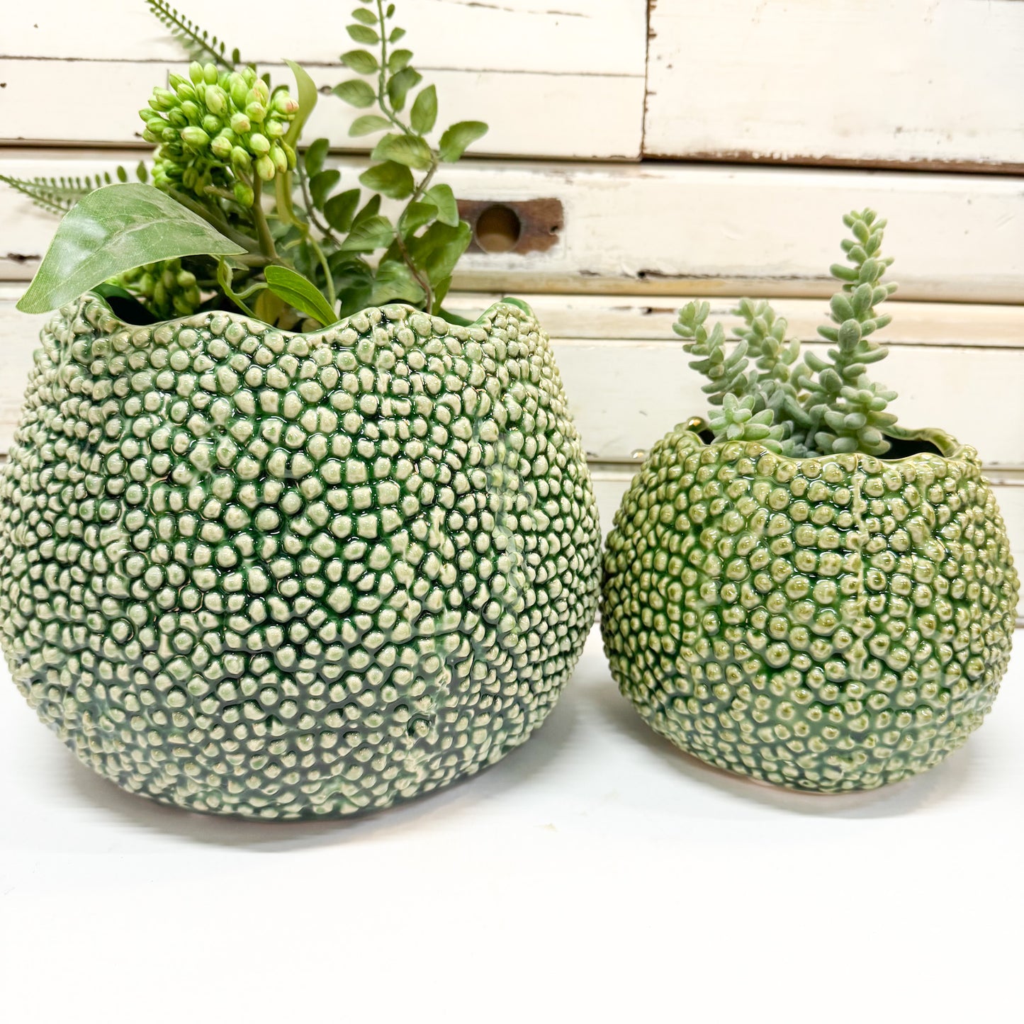 Lychee Planter - Medium