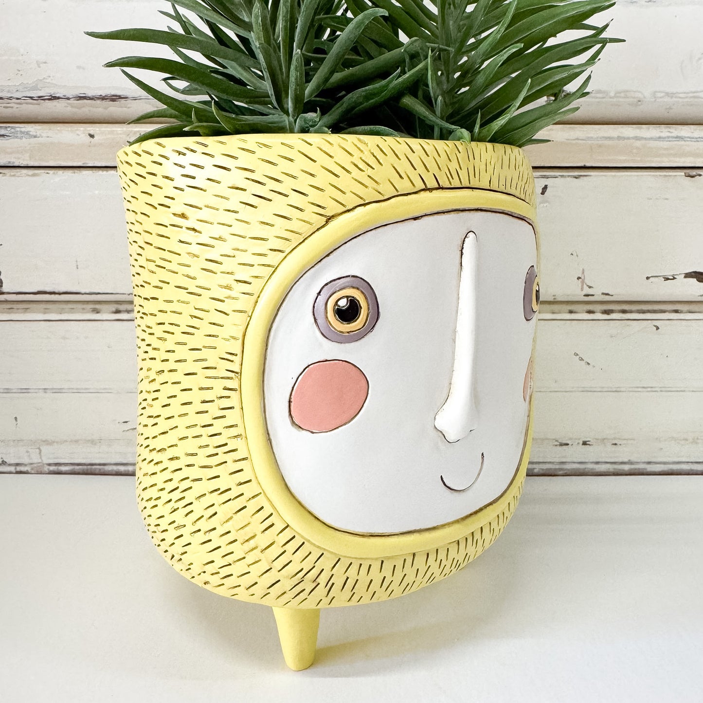 Sun Planter