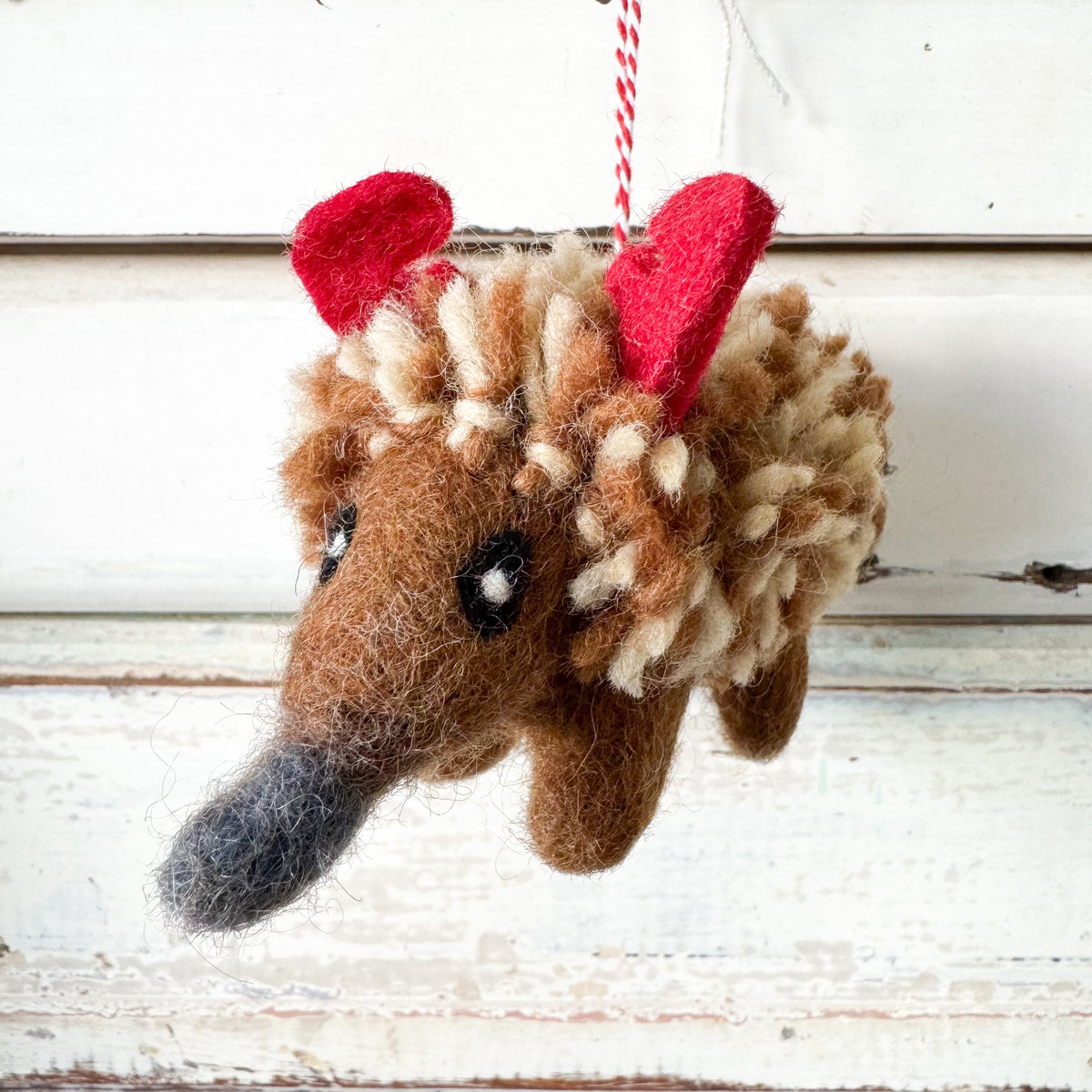 Felt Echidna Edna