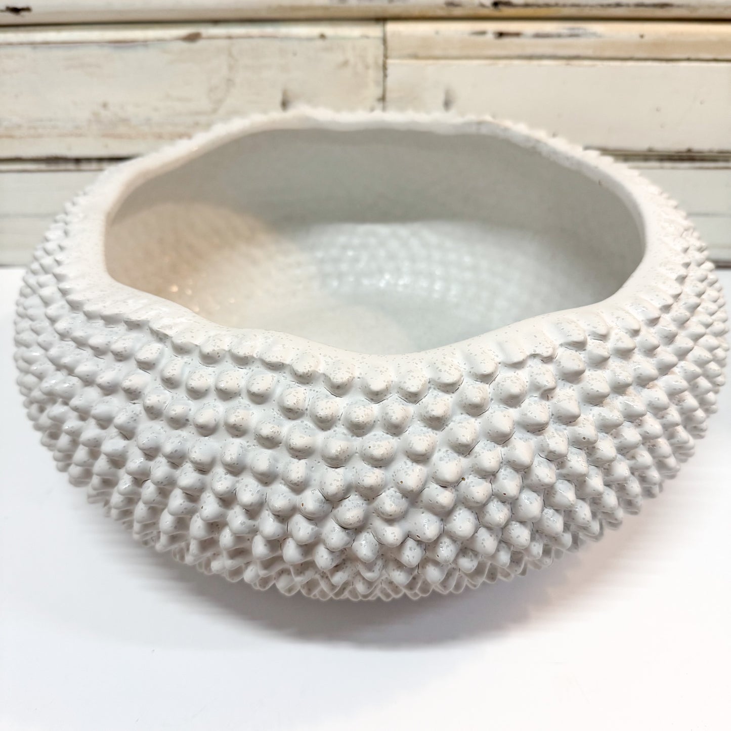 Ivory House - Porci Urchin Bowl. White textured ceramic bowl 