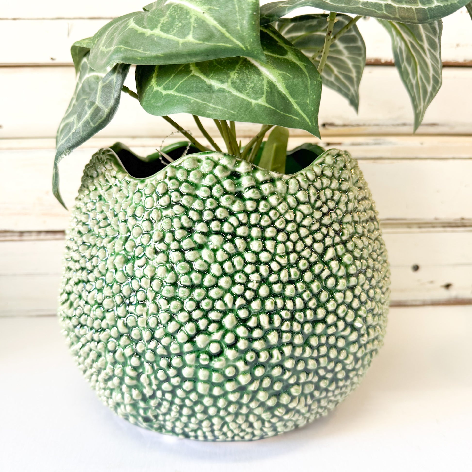 Green textured pot -Ivory House - Lychee Planter - Medium