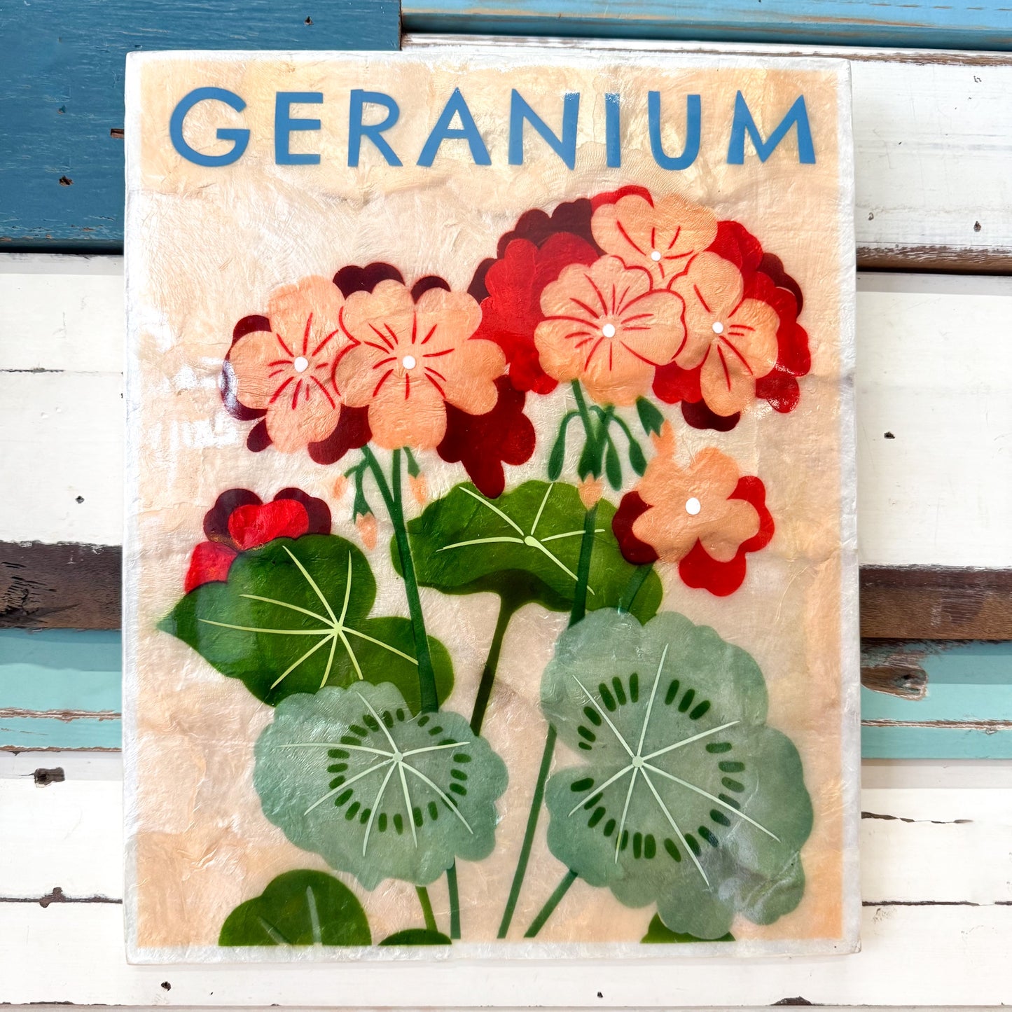 Jones & Co | Market Wall Art Geranium
Decorative cAPIZ SHELL TILE with a floral Geranium  design on a white background