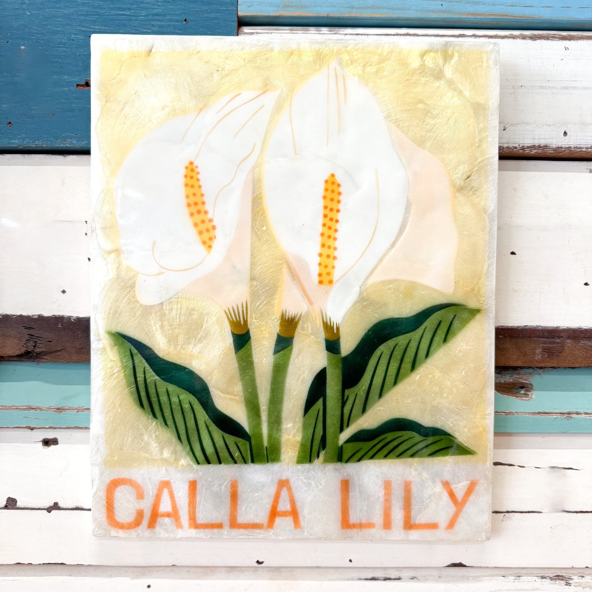 Jones & Co | Market Wall Art Lily Decorative cAPIZ SHELL TILE with a floral Lily  design on a white background