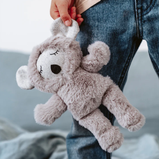 Morton Koala
