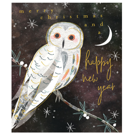 Christmas Owl Card