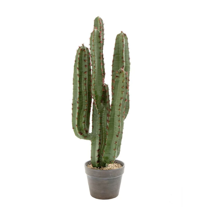 Faux Desert Cactus
