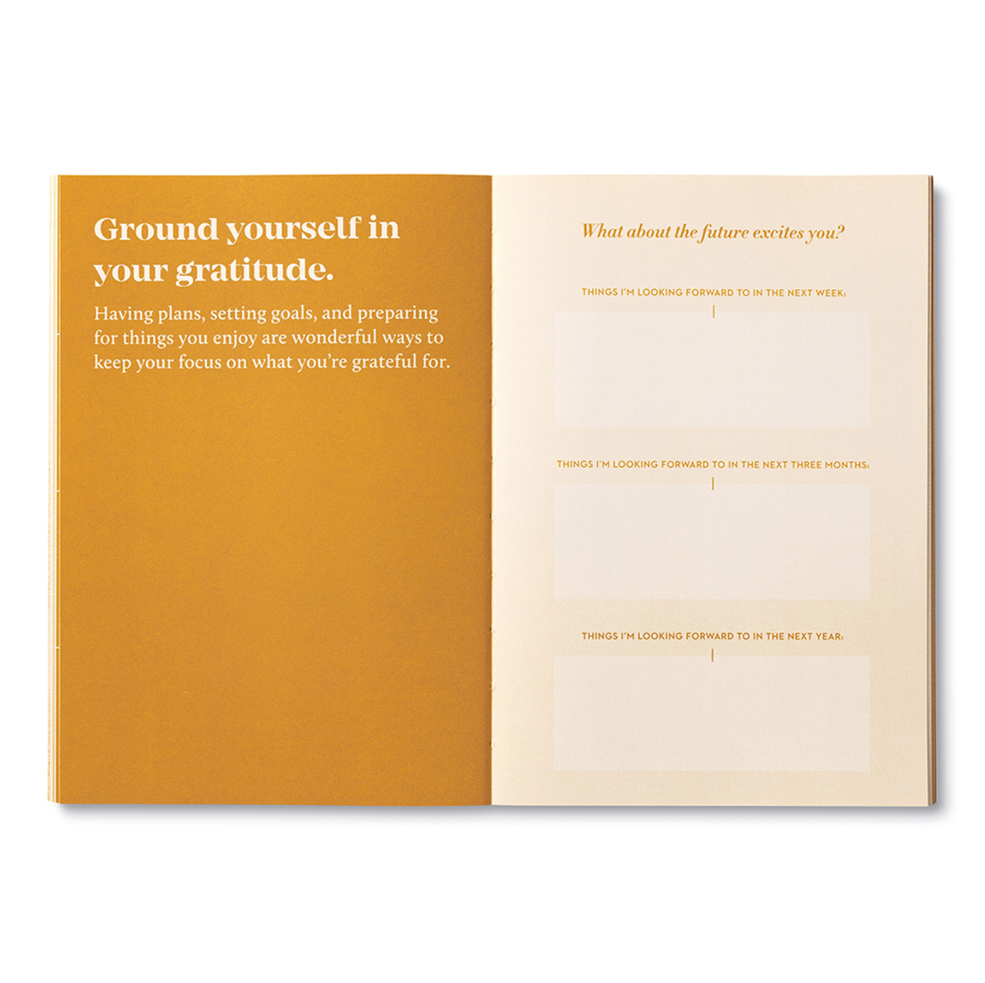 True Gratitude Journal