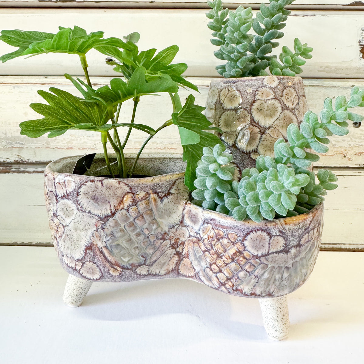 A ceramic two-tier planter with a textured, organic pattern in earthy beige, brown, and gray tones, styled with green succulents and a leafy plant against a rustic white wood background.