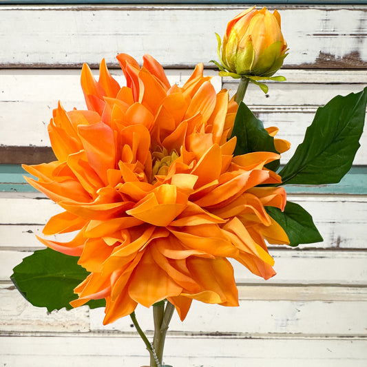 Orange flower with green leaves against a wooden background