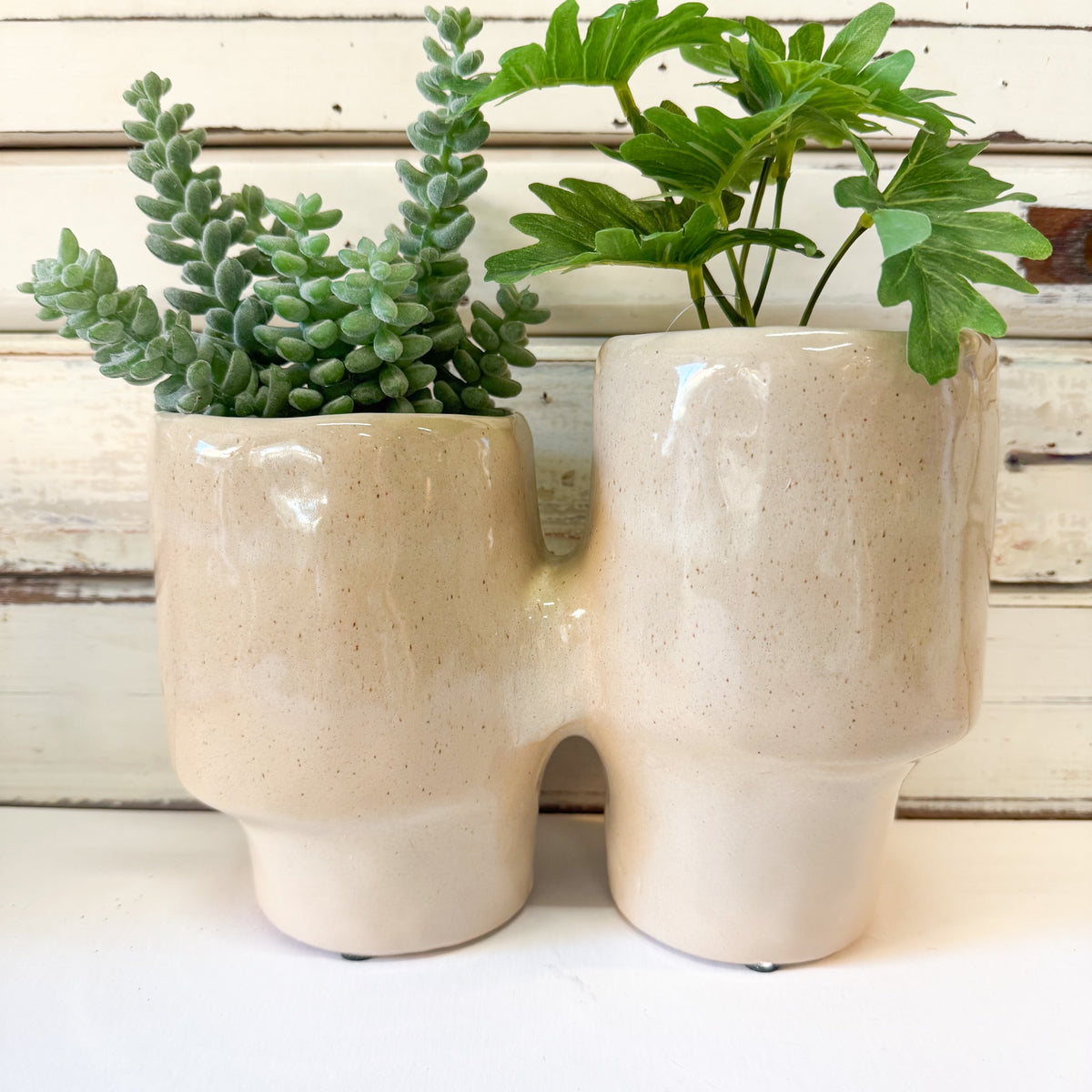 A two-compartment ceramic planter in a speckled cream-beige glaze, holding green succulent and leafy plants, set against a rustic white wood plank background.