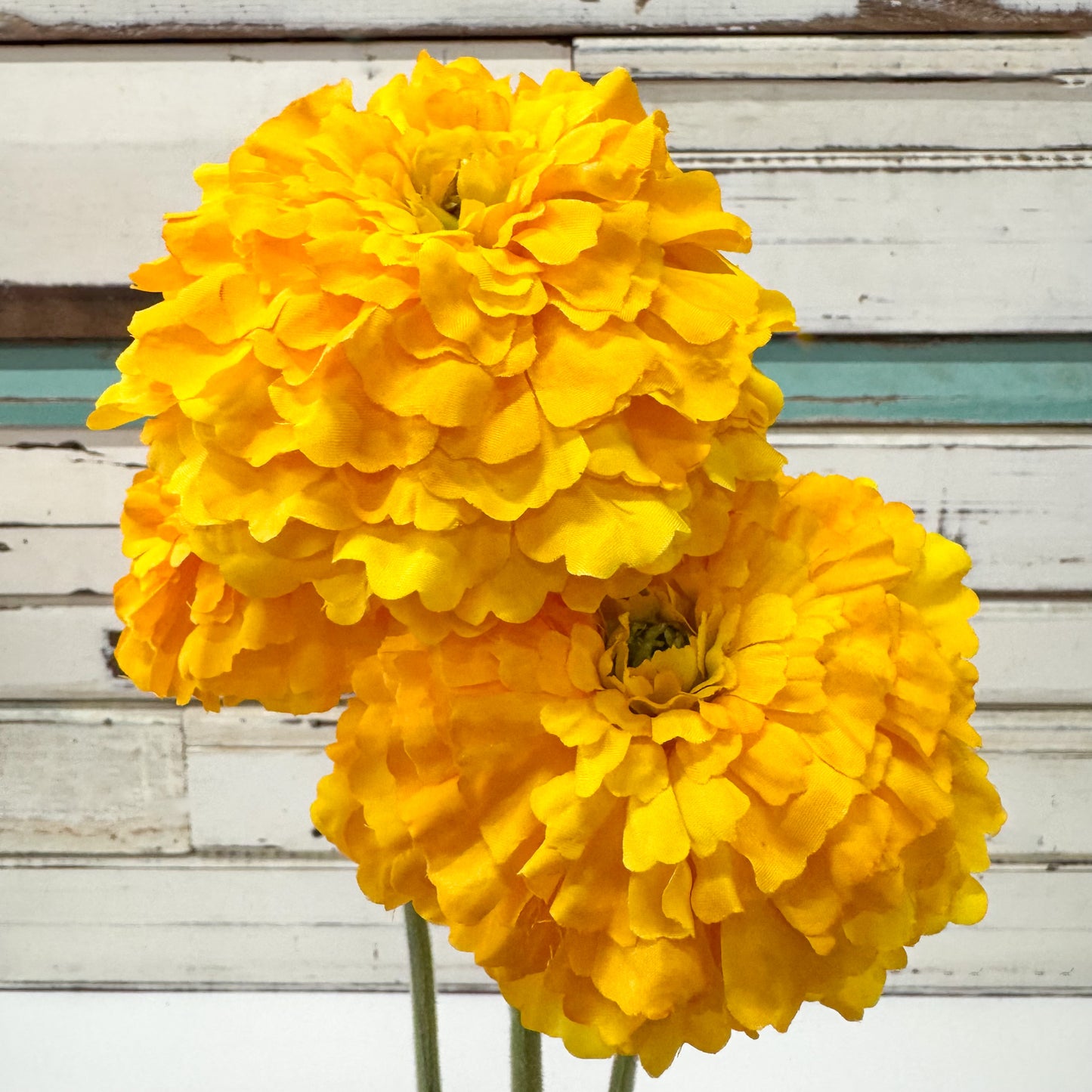 Two bright yellow marigold flowers 
The Brightside Store | Marigold Flower Spray