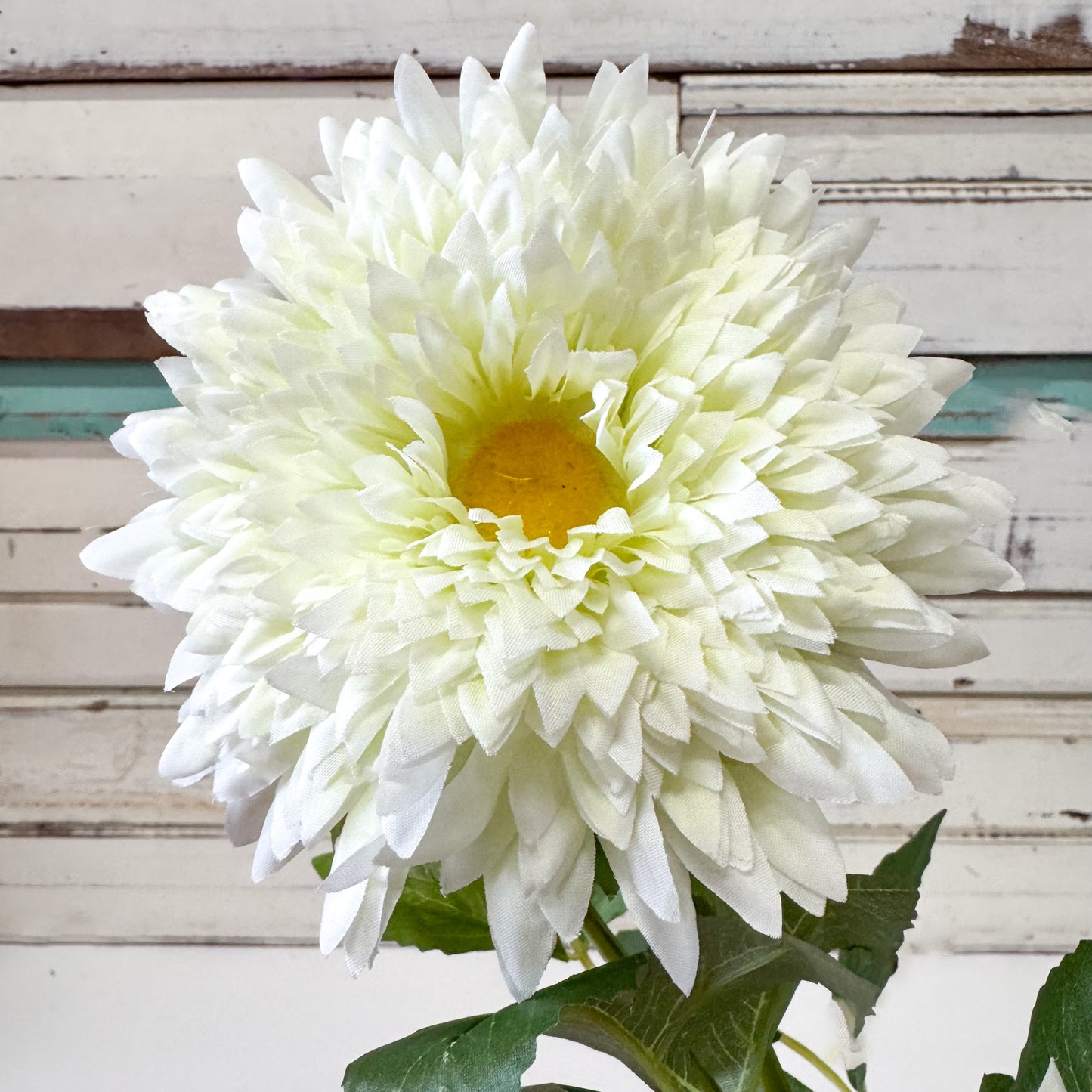 White flower with a yellow centre.
The Brightside Store | Sunflower Spray