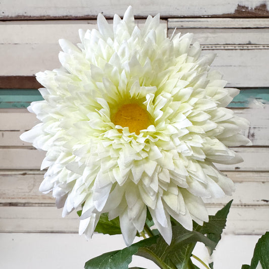 White flower with a yellow centre.
The Brightside Store | Sunflower Spray