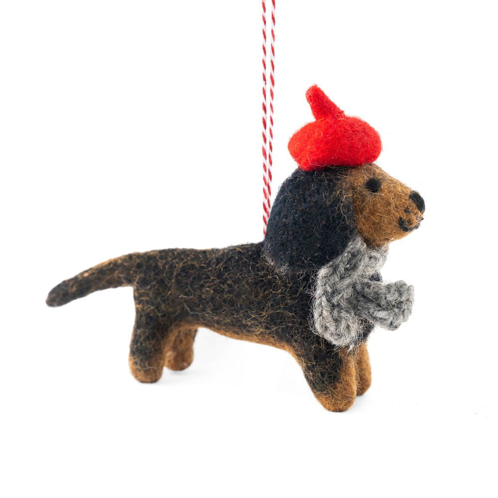 Dog Dachshund